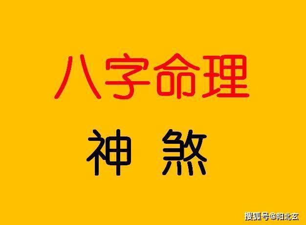 八字丁火日元遇已亥年_丁火八字案例分析_丁火日主大富八字