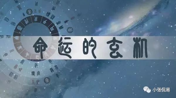 丙火生于亥月案例_癸生亥月水木伤官格_癸水生亥月八字案例