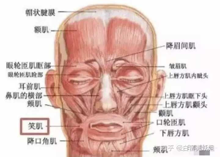 m字额头男人面相算命_额头特别高的男人面相_男人额头面相