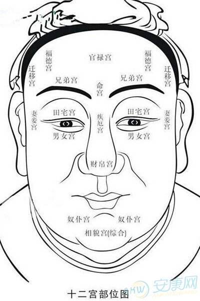 男人额头横纹面相分析_男人额头凹陷面相_额头特别高的男人面相