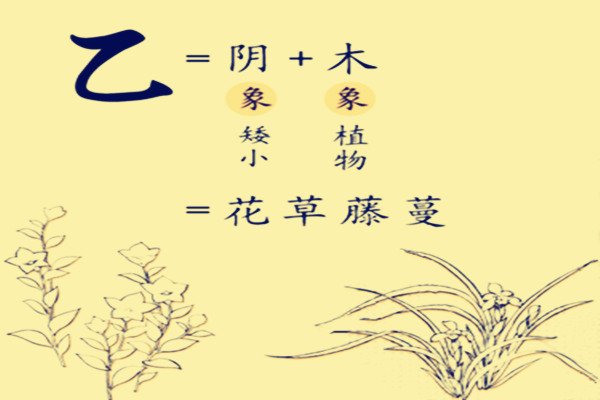 乙木八字案例100命理_乙木日元八字案例_八字命理案例