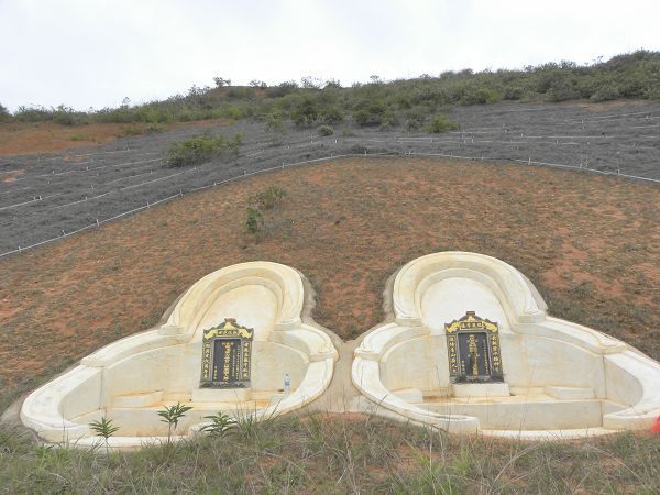 
坟地栽树风水讲究也需要注意的风水需要格外注意