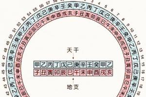 本文风水堂:夫妻八字地支相合,有什么好处