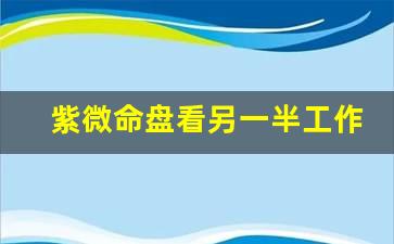 没有紫微斗数导航：夫妻宫有天相星具有“官职”的特性