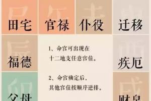 紫微斗数能看到什么?