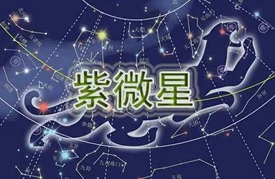 （知识点）紫微星入庙命盘解析主星