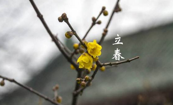 六爻起卦每日一卦 文末风水堂:2019年你最期待什么?