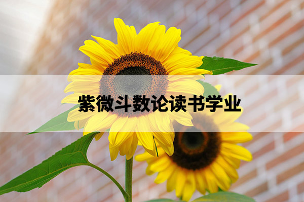 sunflower-flowers-bright-yellow-46216.jpg