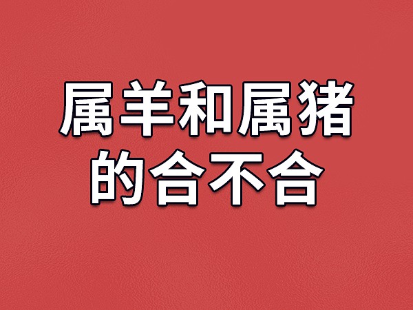 属猪男和属羊女的婚姻状况如何？有你吗？