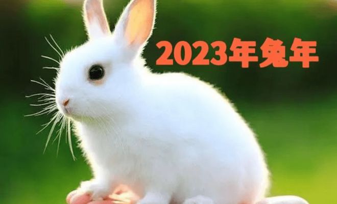 谢咏：,2023兔宝宝起名字一定要有水有草的名字吗