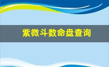 紫微斗数命盘查询