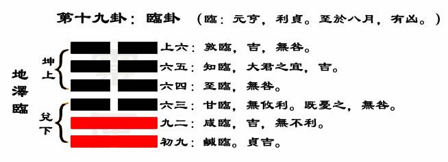 免费紫微斗数命盘详解免费算卦排盘解盘软件