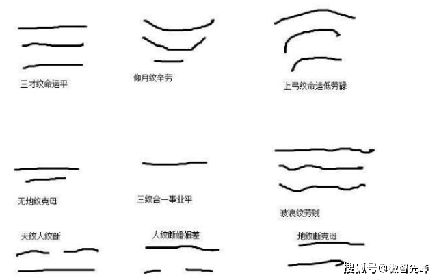 风水堂：额头宽广的人脑筋比较好