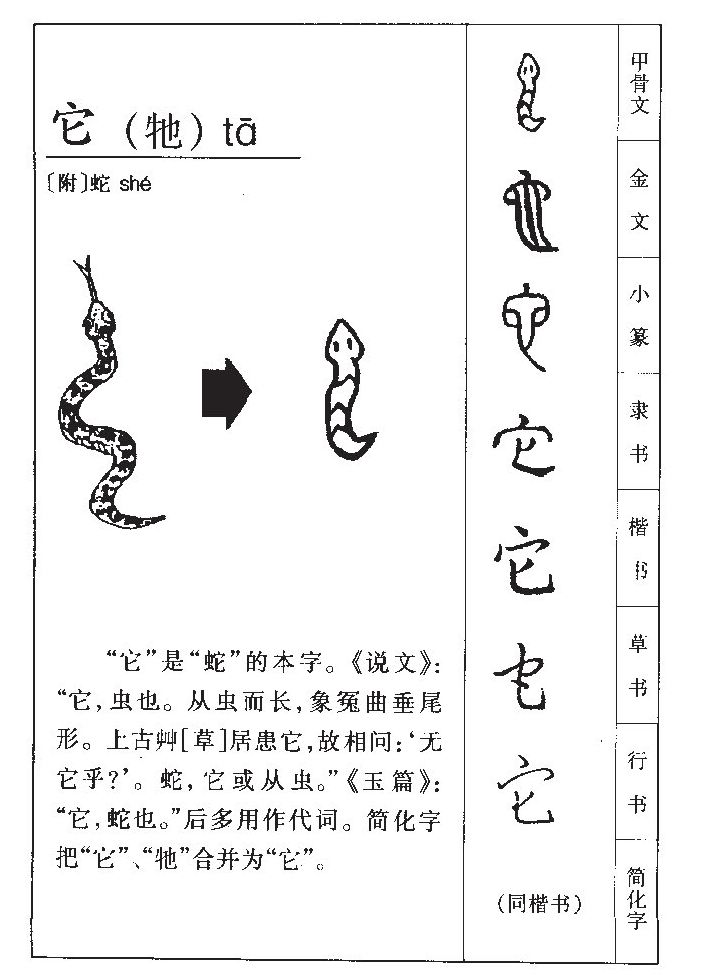 十二生肖落叶凋零感人寂静的秋末──肖狗与部首