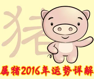 属猪的人2024年运势(属猪人2024年运势及运程男)