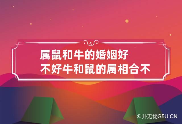 十二生肖的婚姻相合与相克命运，你知道吗？