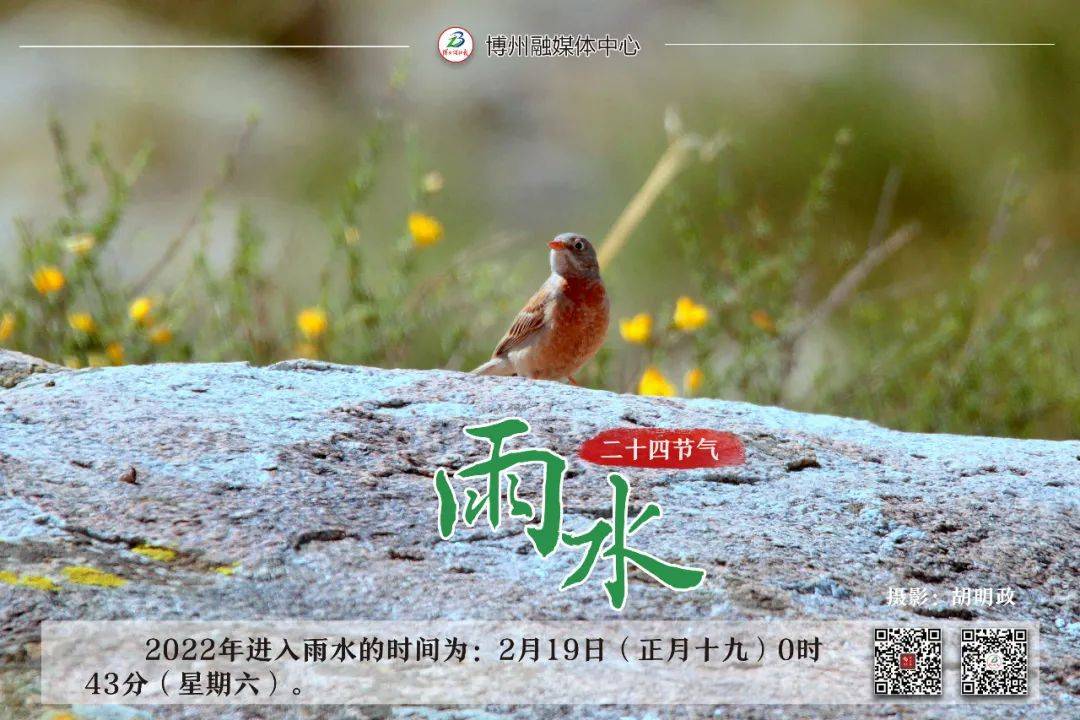 （李向东）二十四节气歌：春雨惊春清谷天