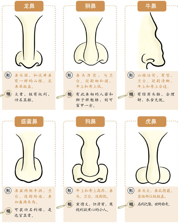 鼻尖的女人面相分析！鼻子面相怎么看？