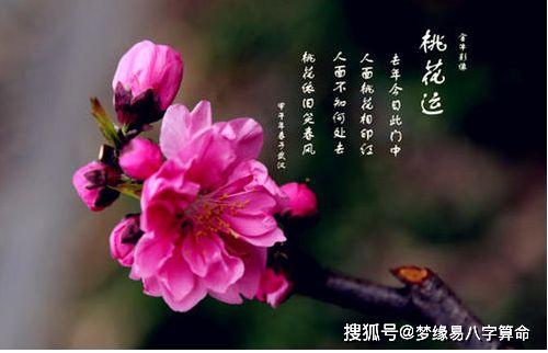 风水堂：什么八字是桃花命？