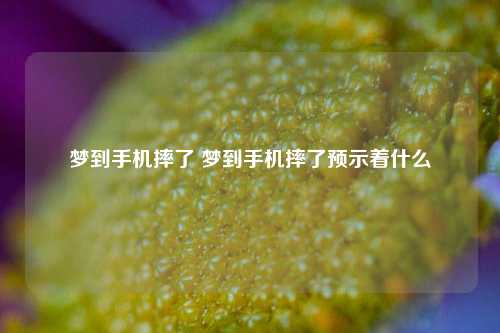 梦到手机摔碎了是什么意思？预示着什么对应的知识点