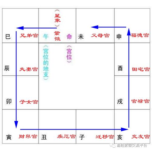 紫微斗数斗数讲义pdf下载