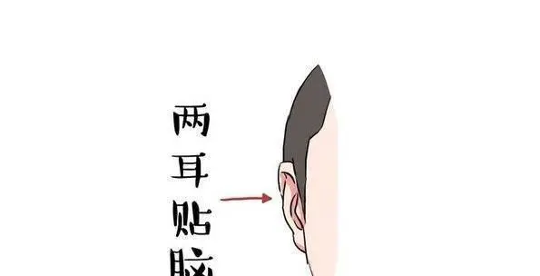 女人面相元宝耳朵在面相学上面运势还是很不错