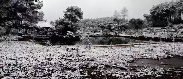 我大重庆美翻了的雪景全部都在这里了！