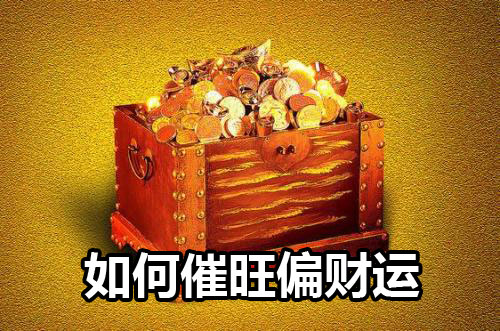 林生风水堂:婚内出轨早于保姆纵火案