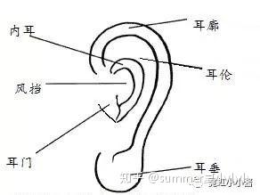 耳朵在颜值里的地位就像一个坐在角落里