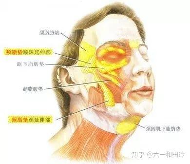 颧骨内推手术真的有必要吗？微整形一样可以改善