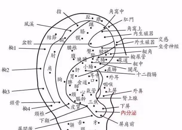 耳朵有恶痣，后天肾气不足，肾气过度耗散