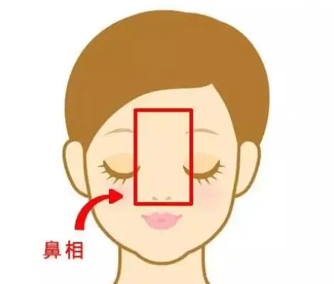 男人鼻梁凹陷在相学中有什么解说吗?