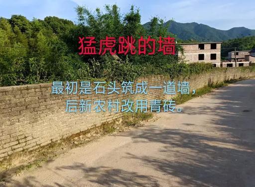 江西三僚风水文化探秘：众多经典阴阳宅案例，领略名师杰作