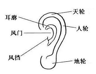 五行面相学：探究人的命运与宇宙万物的奥秘