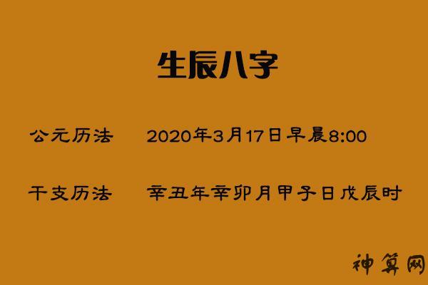 生辰八字的含义及排列方法，2009 年 11 月 13 日的详细解读