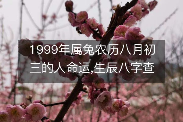 1999 年属兔农历八月初三出生的人命运如何？生辰八字详细分析