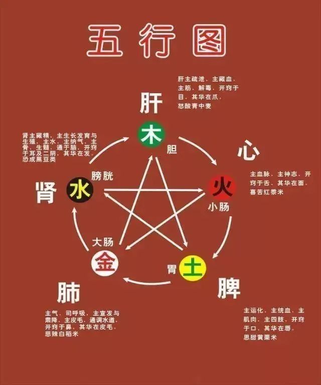 《中医象数思维》论文集，中医思维的构建